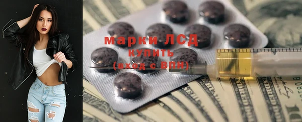 прущие грибы Аркадак