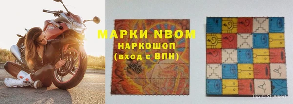 прущие грибы Аркадак