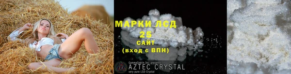 прущие грибы Аркадак