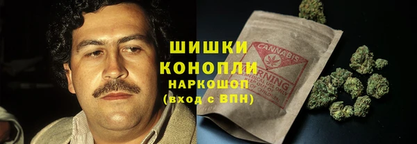 прущие грибы Аркадак