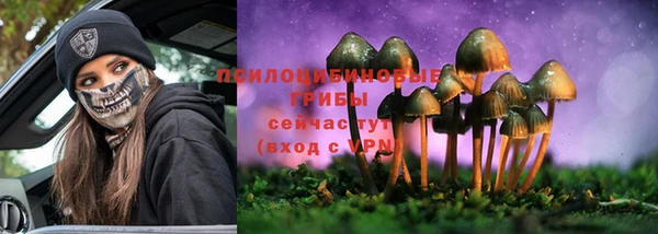 дмт Дубовка