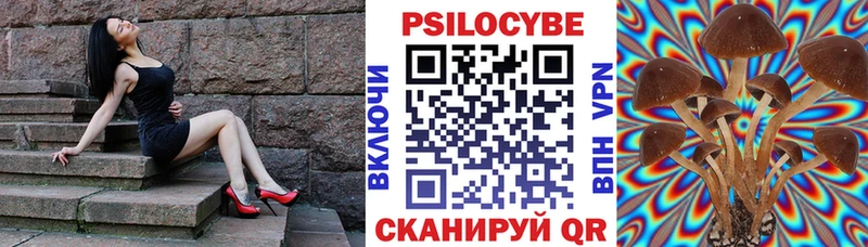 Псилоцибиновые грибы Psilocybine cubensis  наркотики  Калязин 